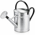Arrosoir en métal galvanisé 5l argent avec poignée noire
