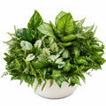 Plante artificielle en pot avec feuillage varié vert 40 cm