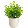 Plante verte artificielle en pot crème - hauteur 35cm
