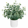 Plante en pot de faux eucalyptus 40 cm