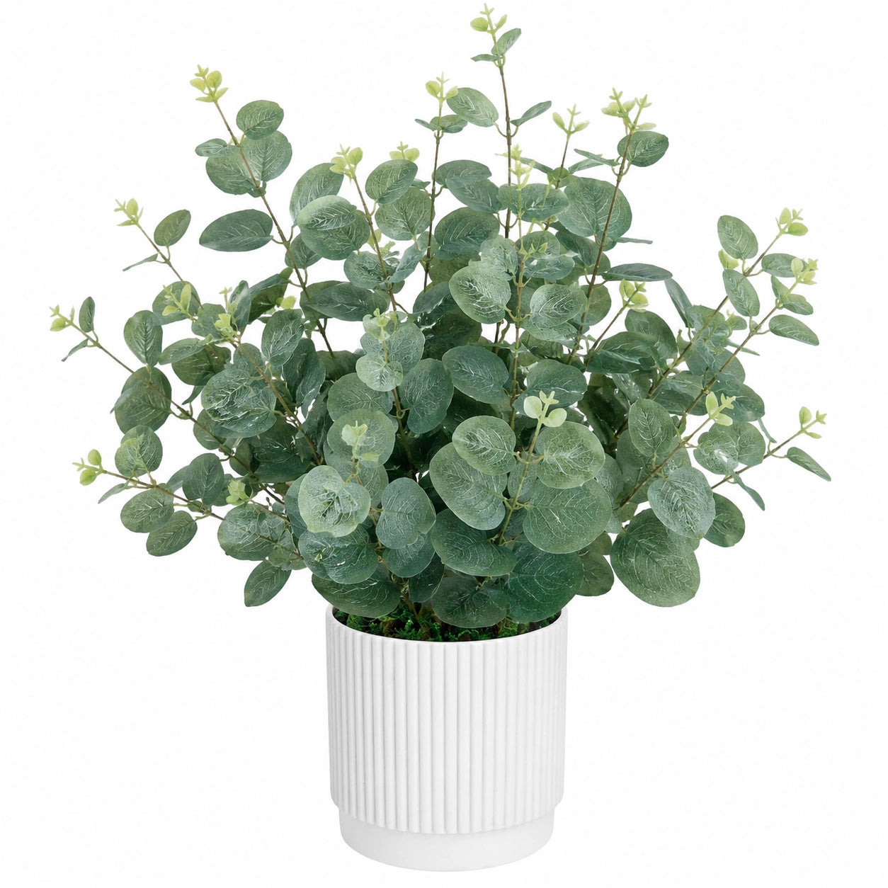 Plante en pot de faux eucalyptus 40 cm