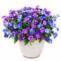 Arrangement floral artificiel en pot violet et bleu