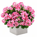Plante artificielle avec fleurs roses en pot, 45 cm